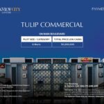 tulip commercial payment plan